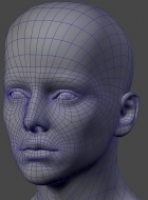 headtopology2