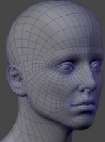 headtopology3