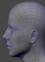 headtopology4